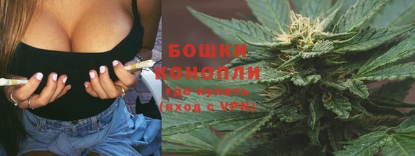 твердый Данков