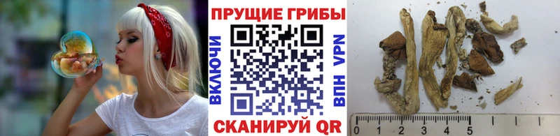 Галлюциногенные грибы мицелий  цены   Комсомольск 