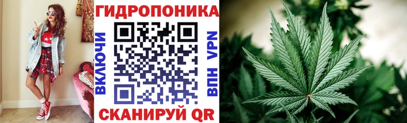 Марихуана White Widow  Комсомольск 